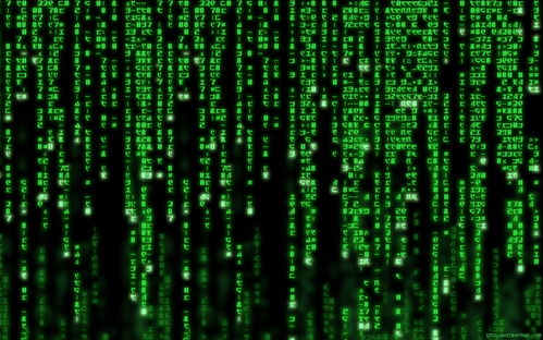 深入计算机底层 从几本靠谱的书籍开启网络产品学习之旅