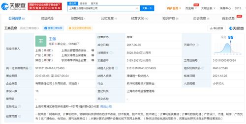 电子产品的技术开发与销售 创新驱动与市场策略